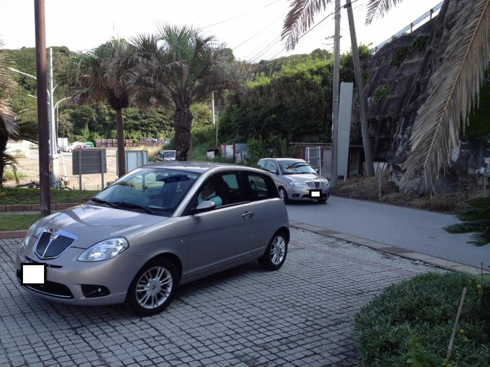 IMG_2104 (1024x768).jpg